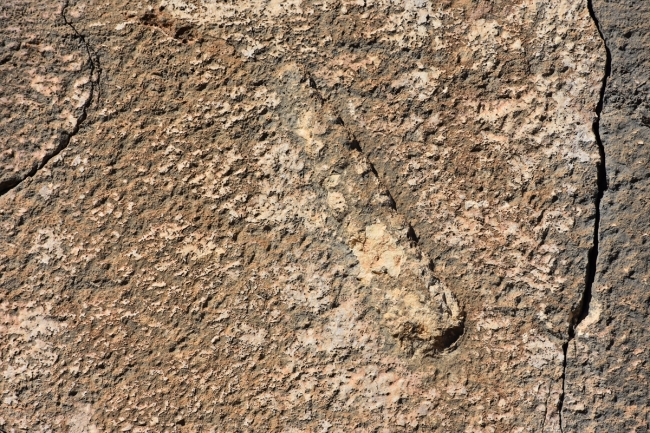 "Herkül'ün Sopası" kabartması ortaya çıkarıldı